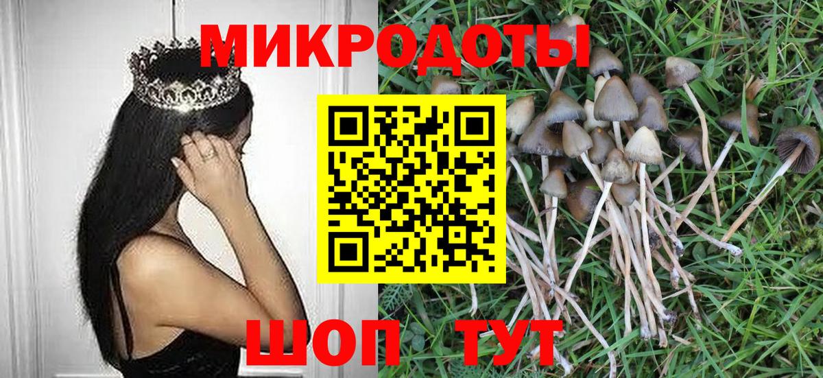 Галлюциногенные грибы GOLDEN TEACHER Шадринск